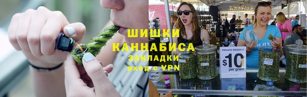 стаф Дмитриев