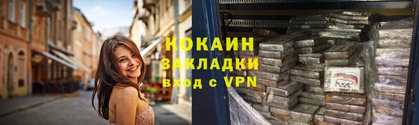 стаф Дмитриев