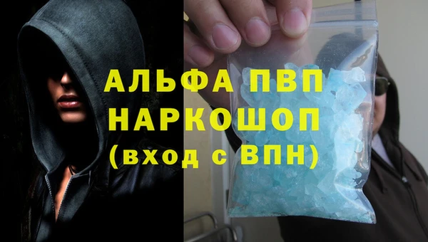 шишки Ельня