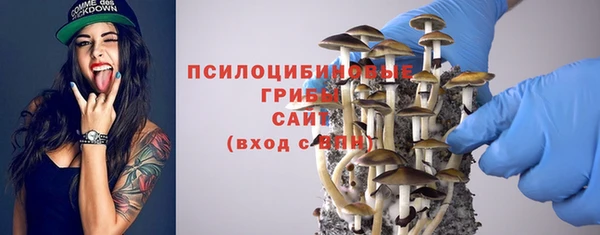 дживик Дмитров