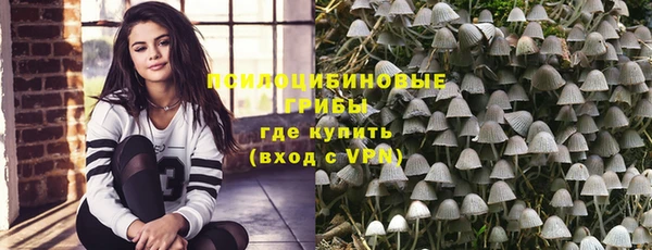 шишки Ельня