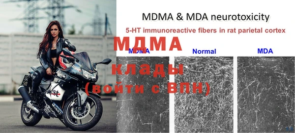 шишки Ельня