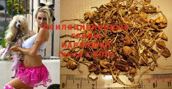 дживик Дмитров