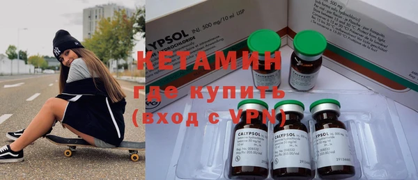 шишки Ельня