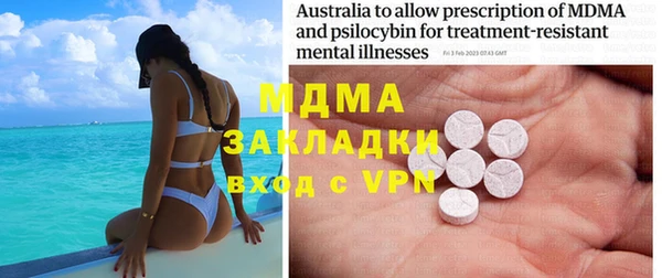шишки Ельня